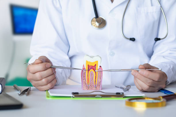 Best Knocked-Out Tooth Emergency  in Clarinda, IA